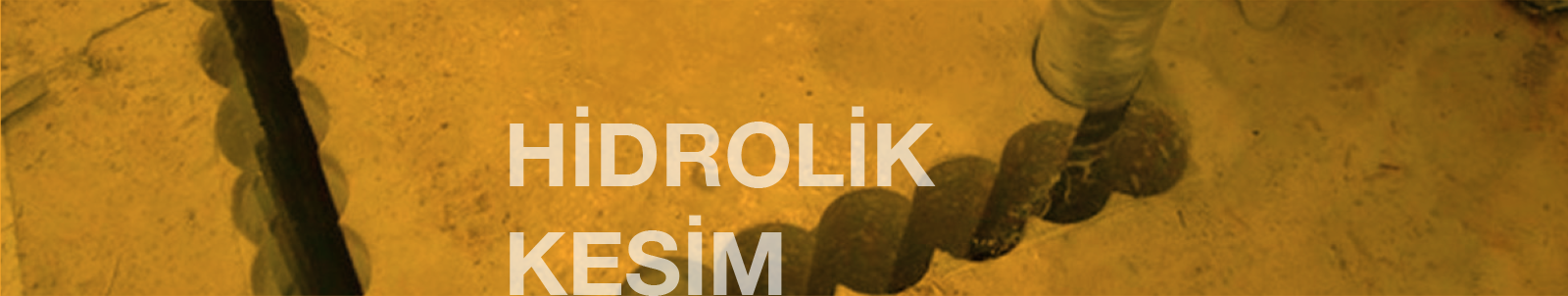 ust_baslik_yazili